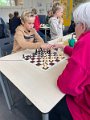 20241009 Toernooi De Ark (15)